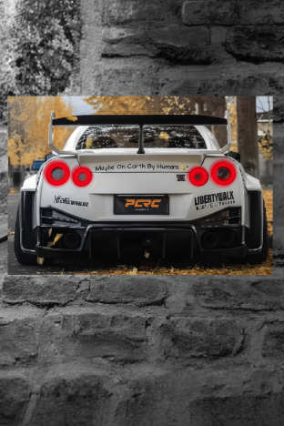 F&F FLICKER FRAME - Nissan GT-R (BIRDS EYE)